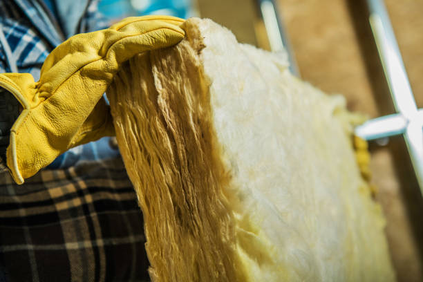 Best Insulation for Specific Applications in Laguna Beach, FL